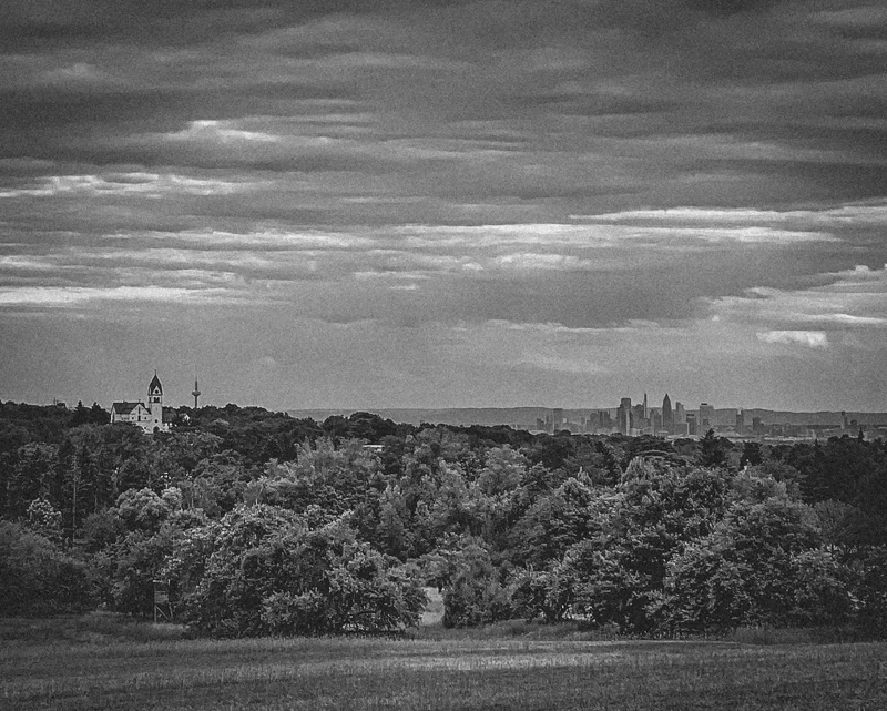 Schwarz-Weiß-Blick über die Landschaft im Main-Taunus-Kreis mit der Frankfurter Skyline am Horizont